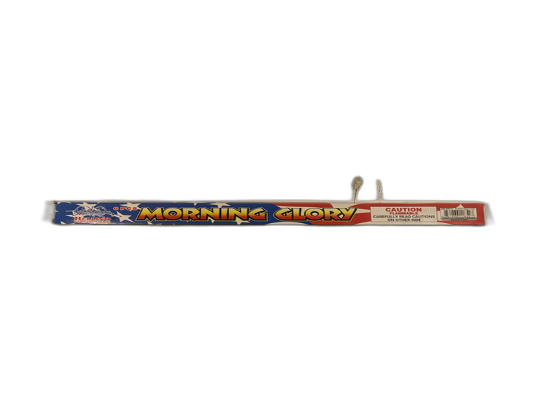 Morning Glory